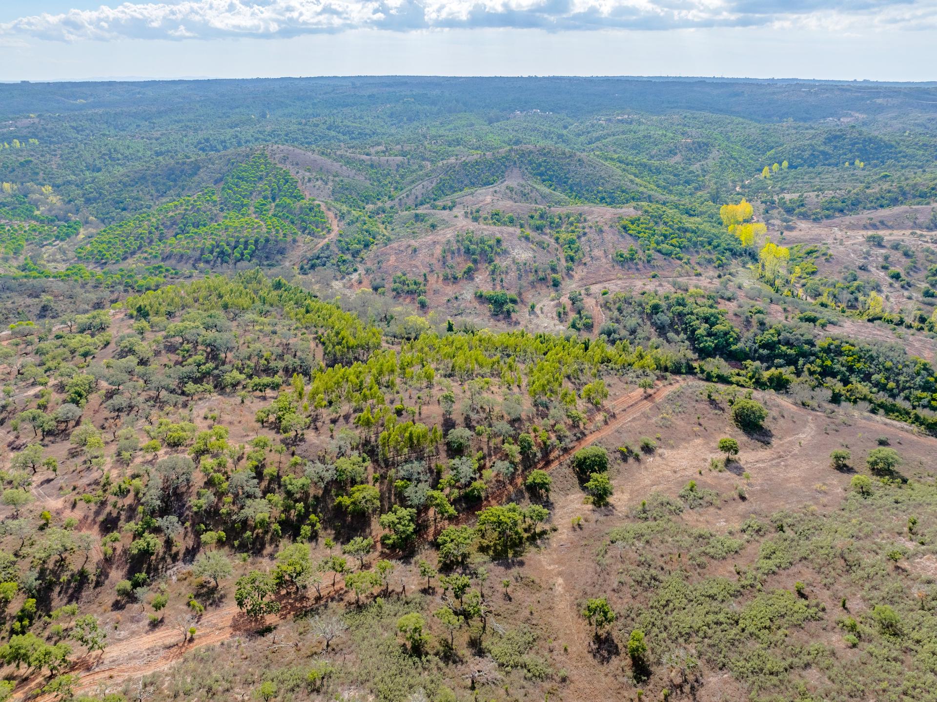 Land in Grândola — photograph 3