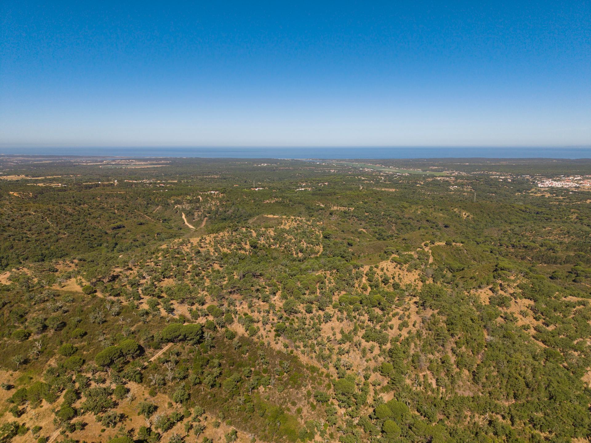 Land in Grândola — photograph 2