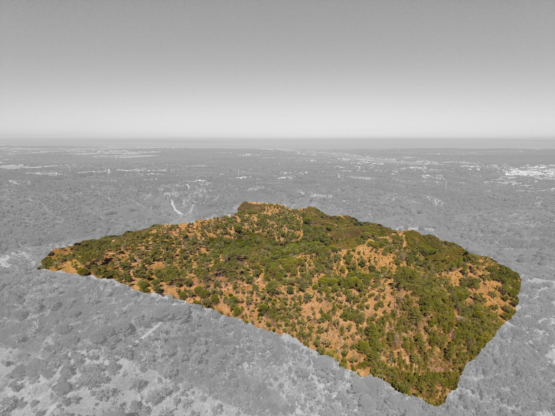 Land in Grândola — photograph 3