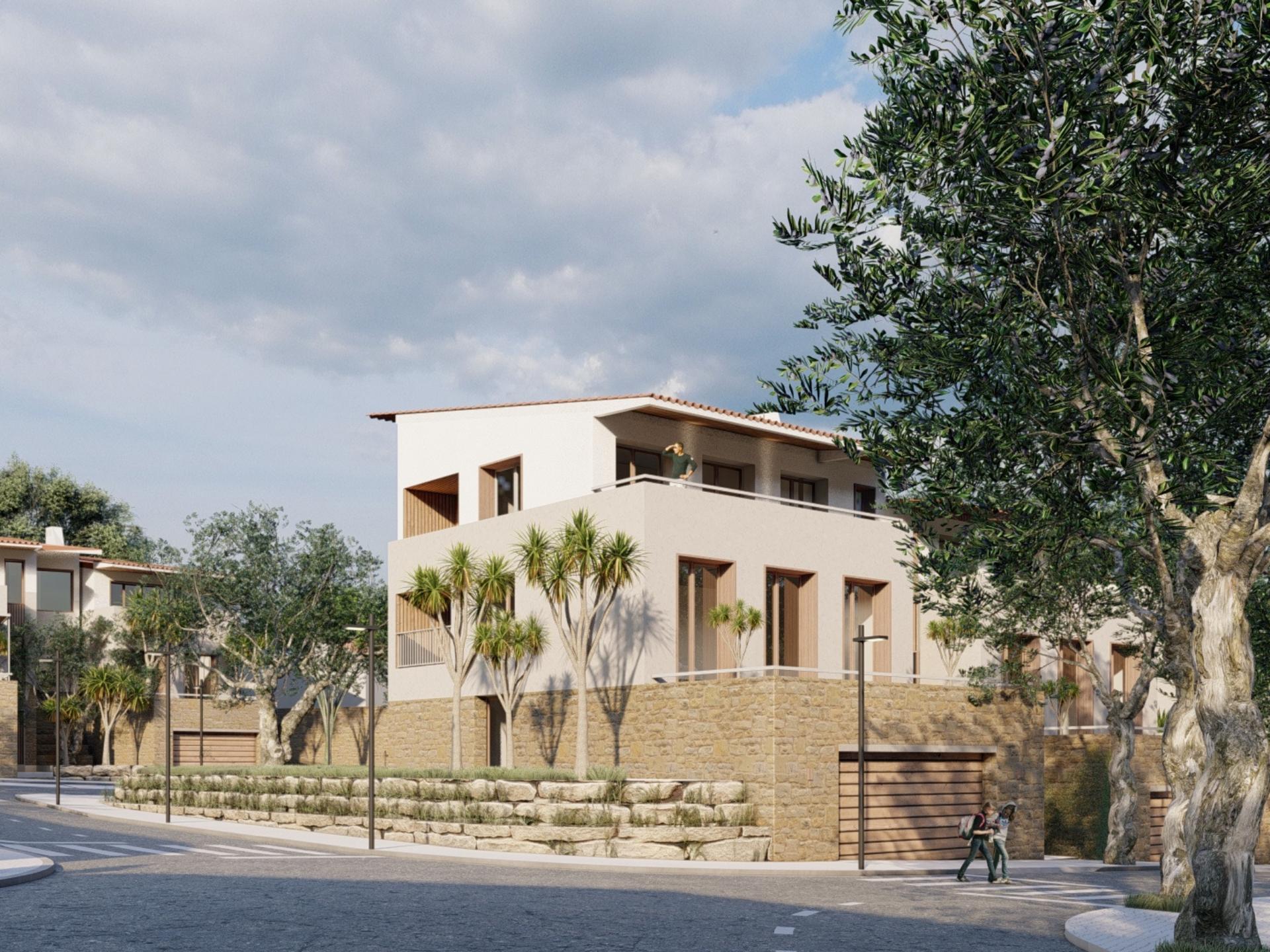 Land in Faro — photograph 5