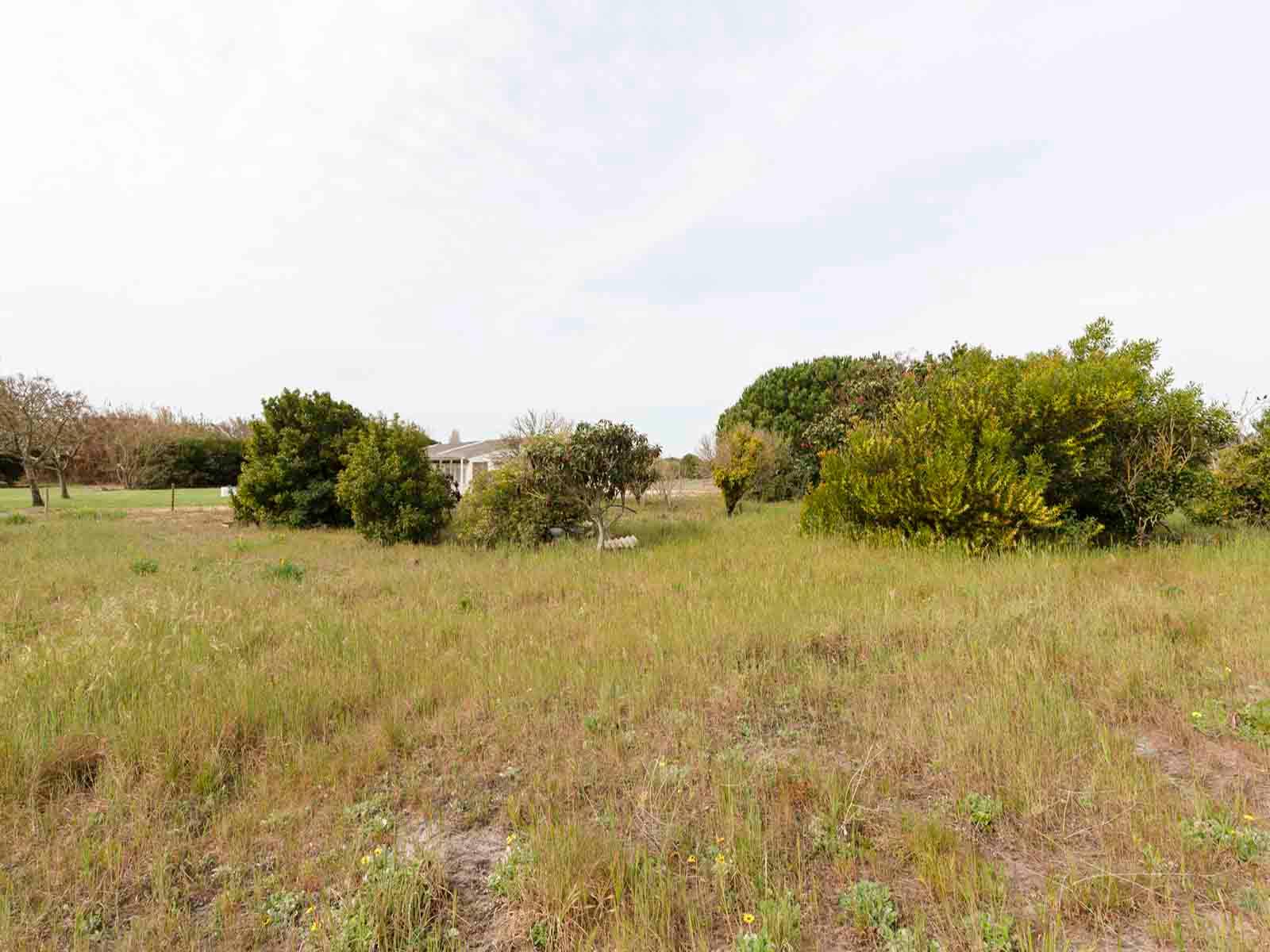 Land in Alcácer do Sal — photograph 5