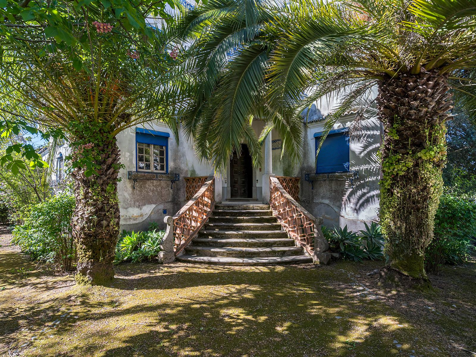 9-Bedroom House in Évora — photograph 2
