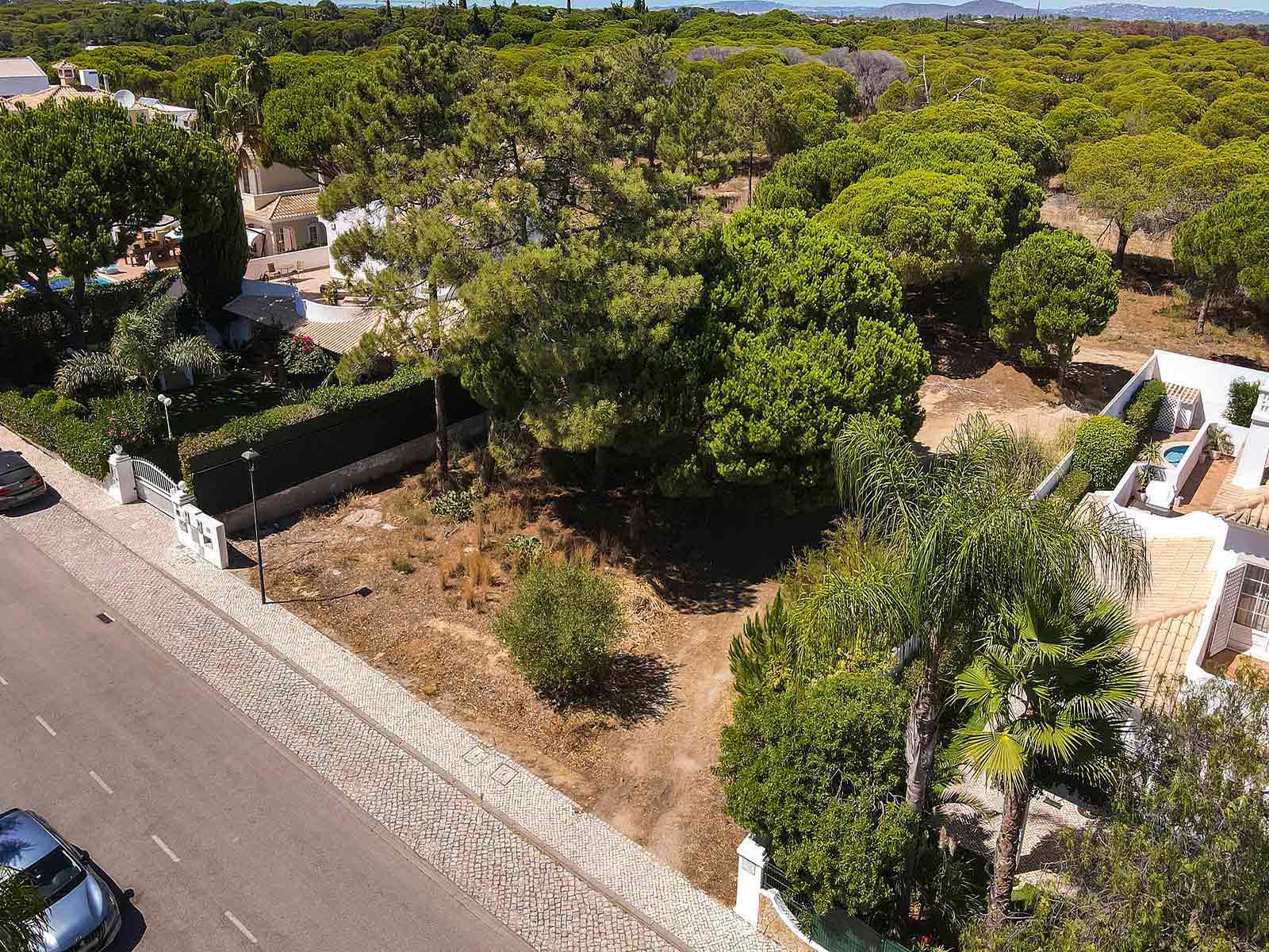 Land in Loulé — photograph 2
