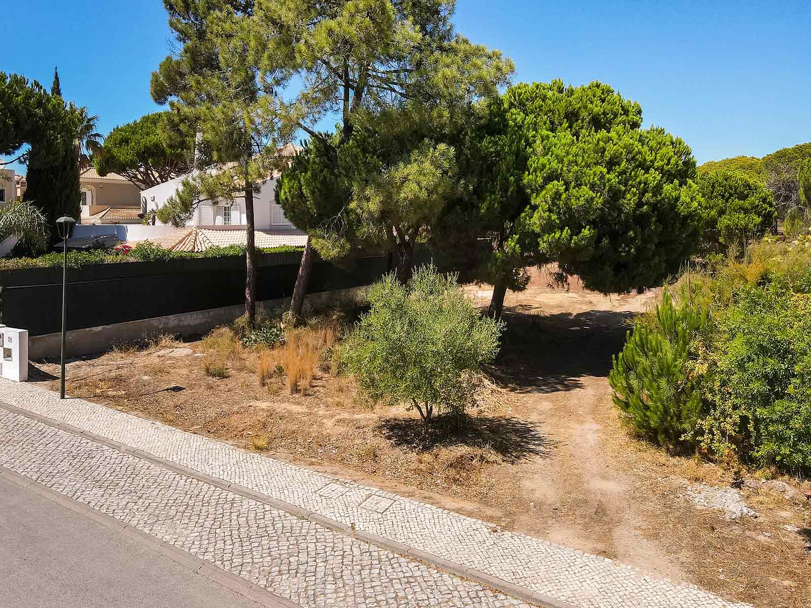 Land in Loulé — photograph 5