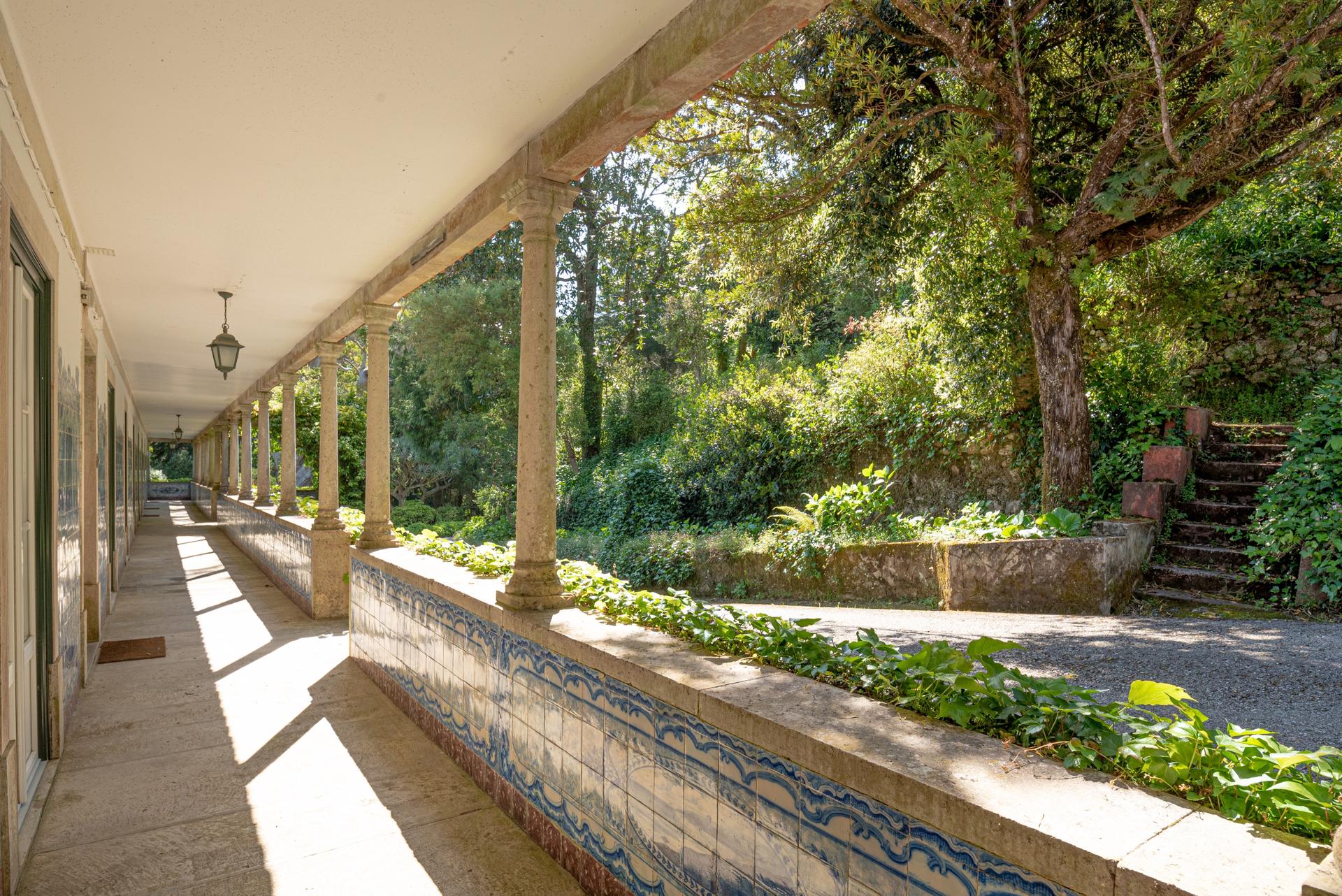 Farm in Sintra — photograph 2