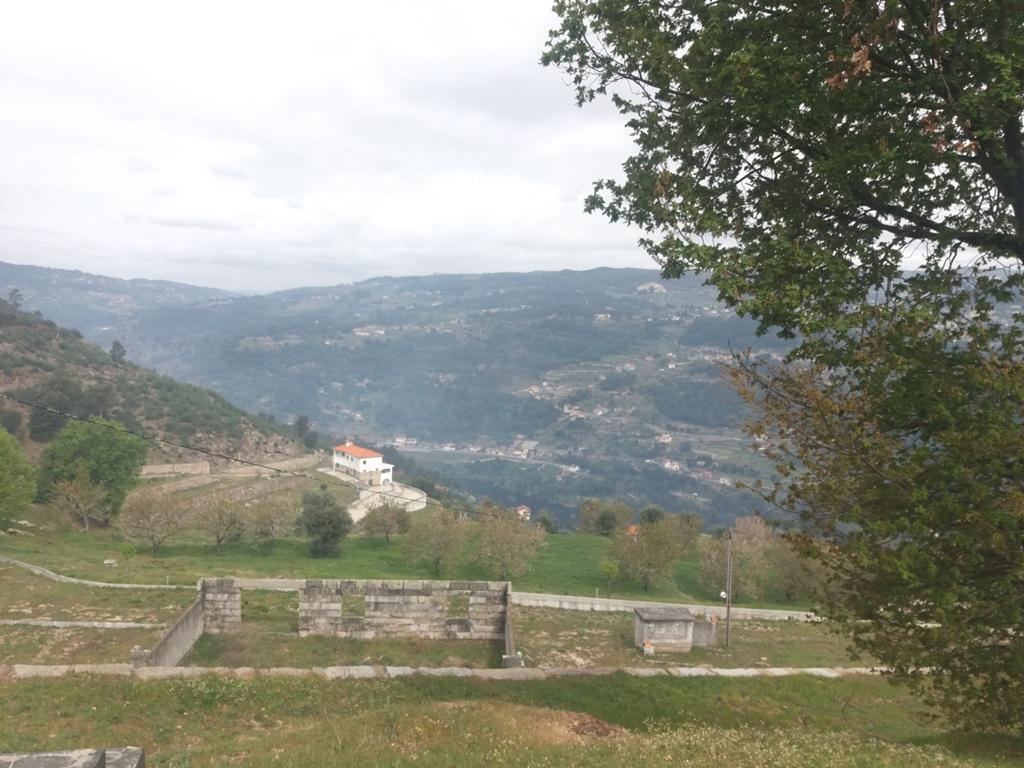 Farm in River Douro valley, Cinfães — photograph 5
