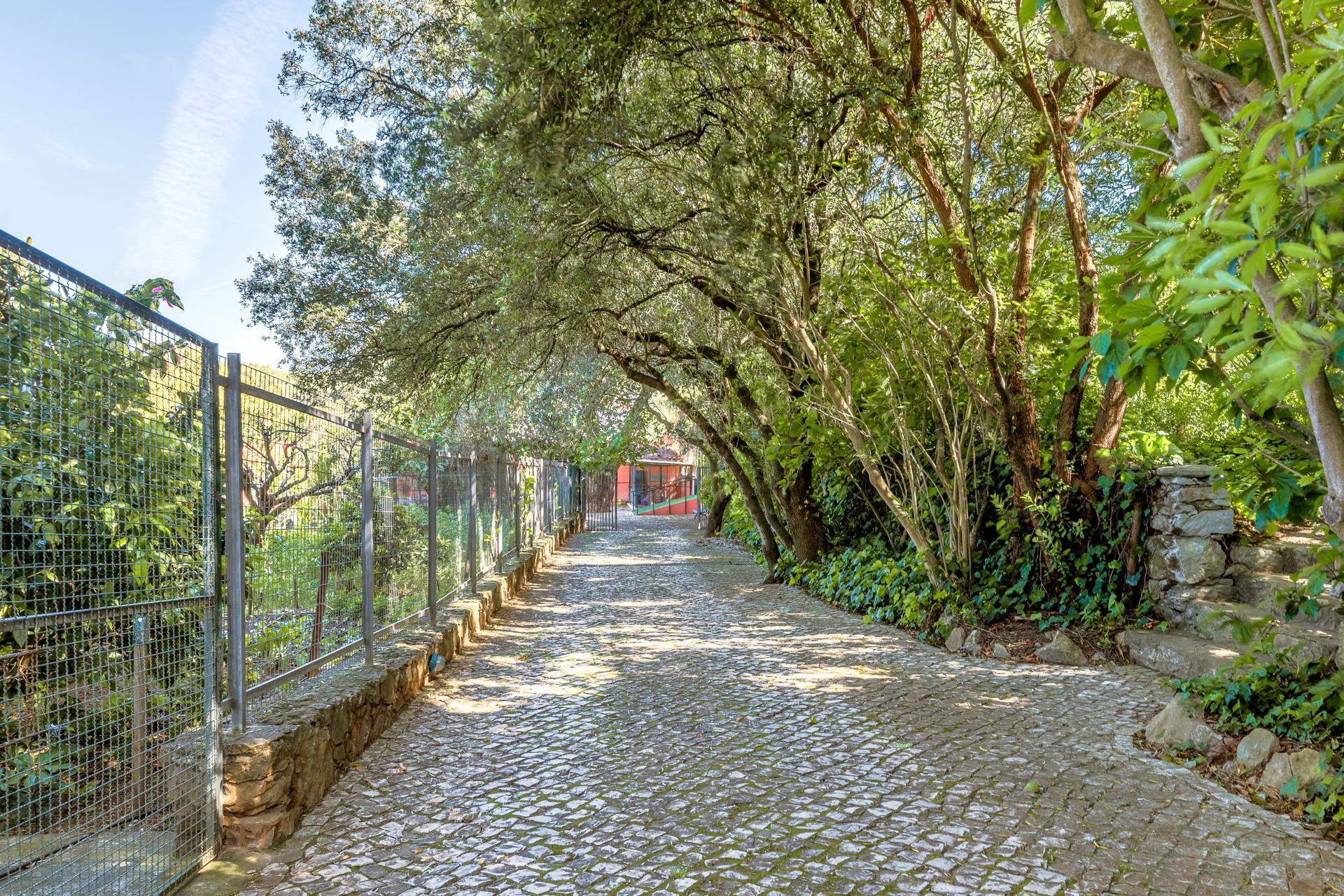 Land in Birre, Cascais — photograph 3