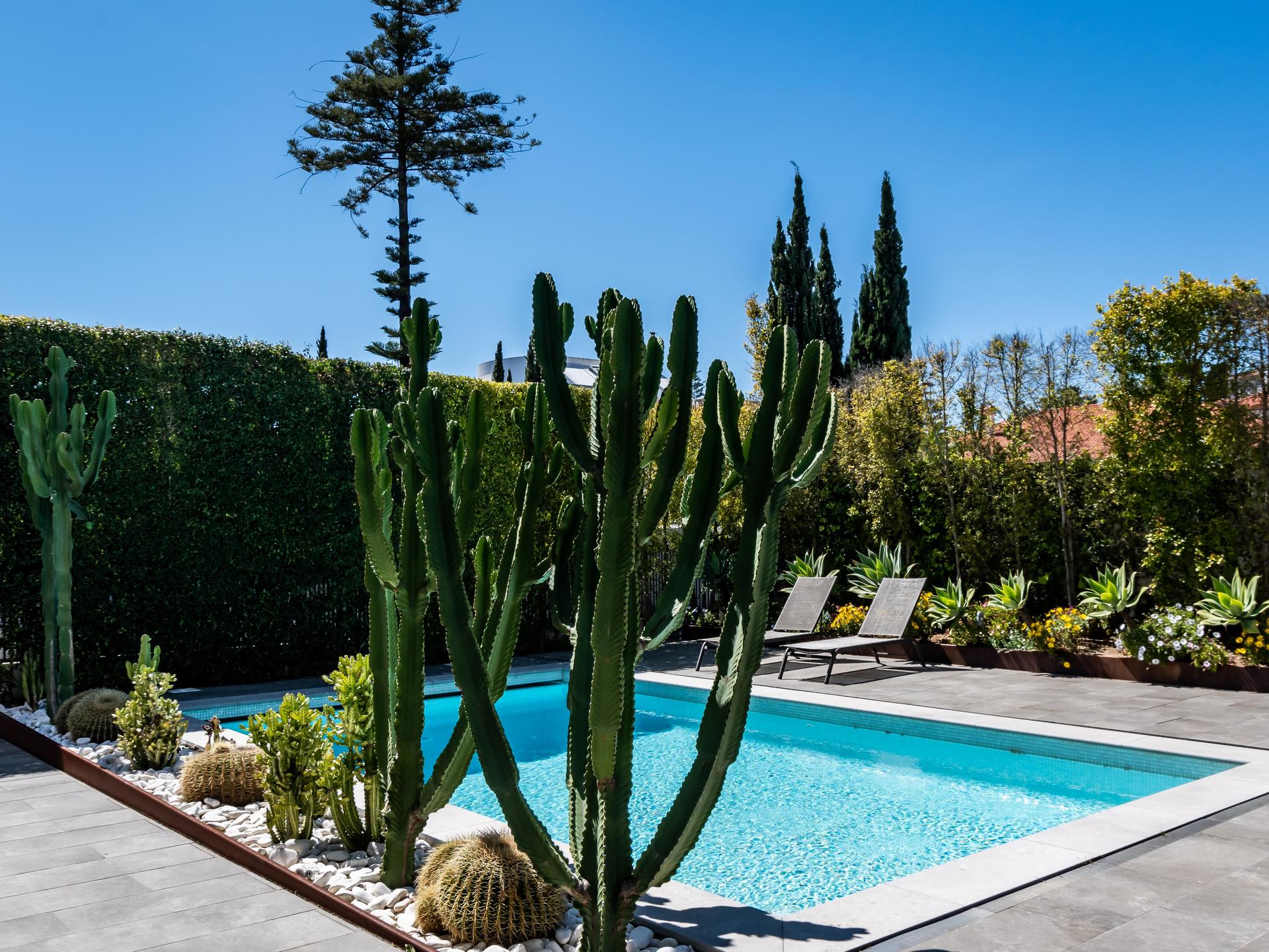 5-Bedroom House in Estoril, Cascais — photograph 3