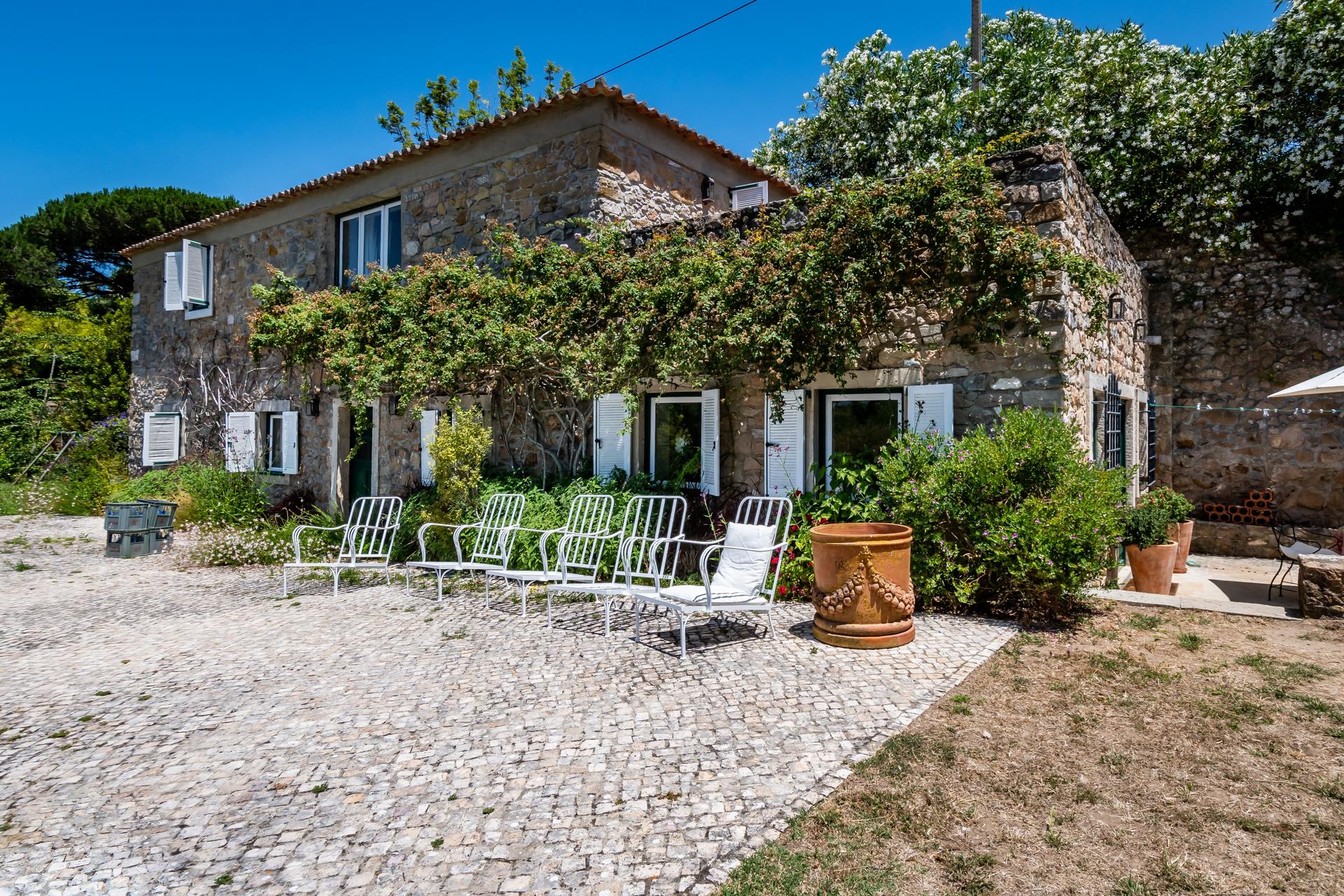Farm in Colares, Sintra — photograph 3