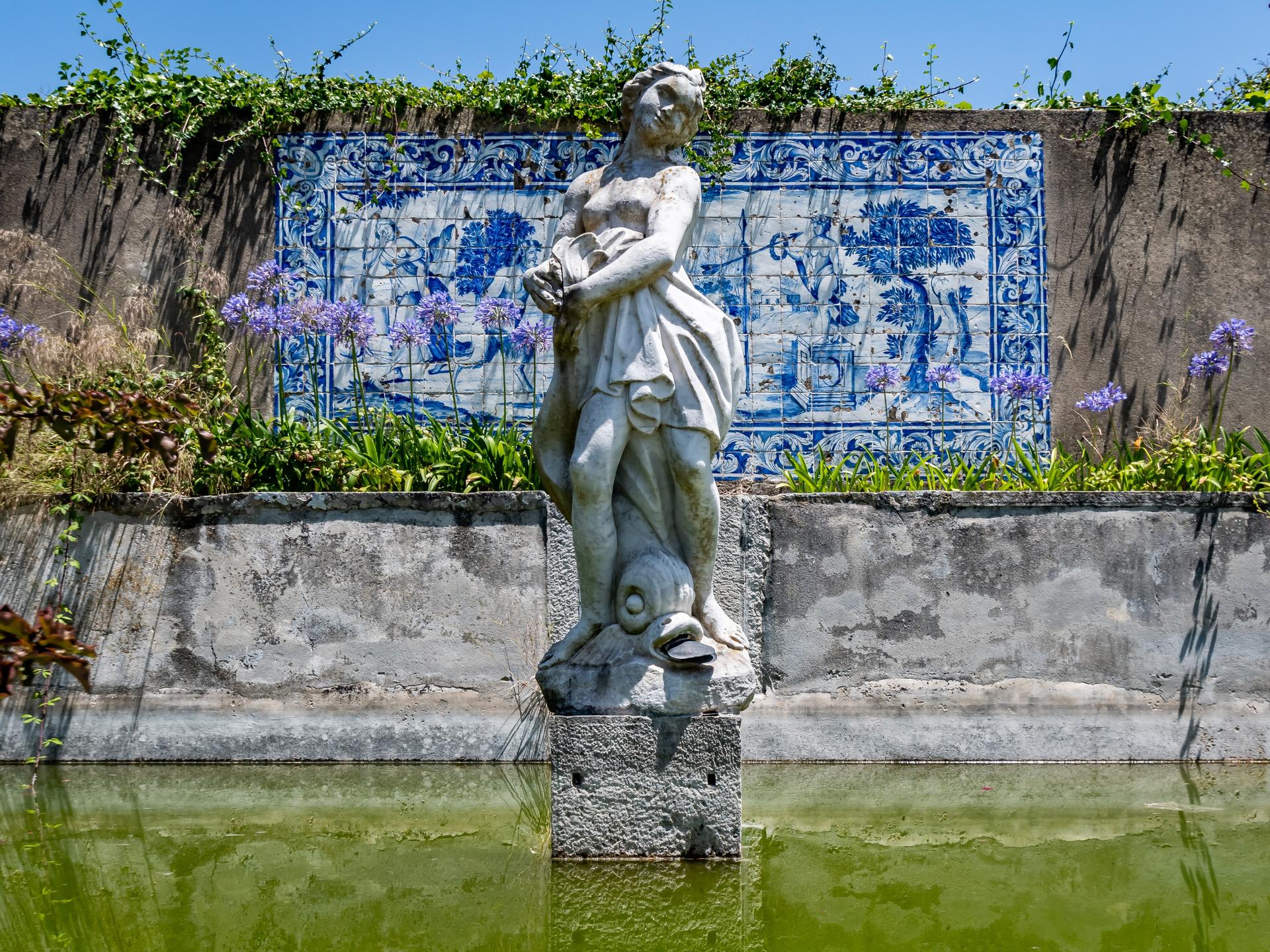 Farm in Colares, Sintra — photograph 4