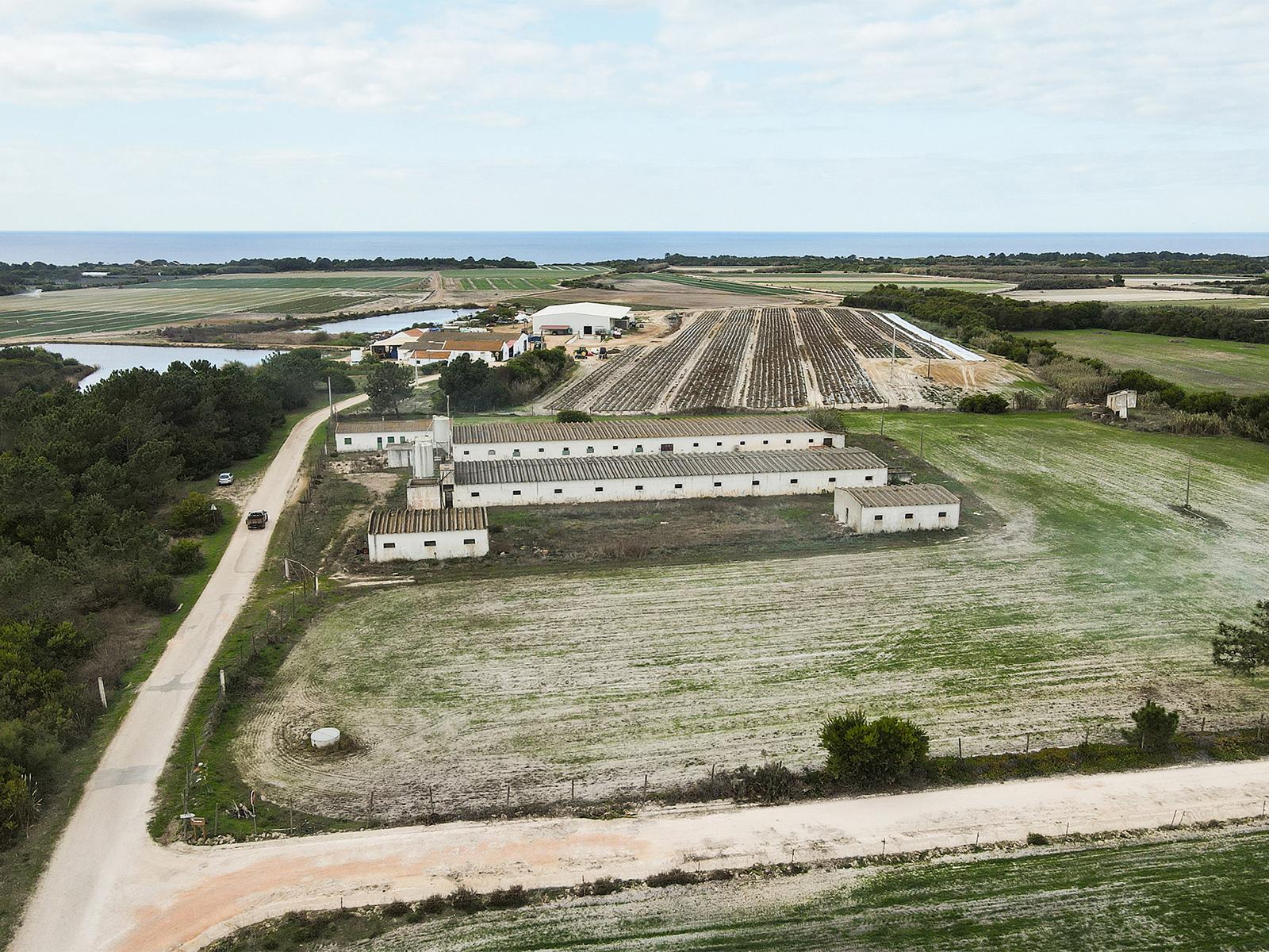 Land in Odeceixe, Aljezur — photograph 2