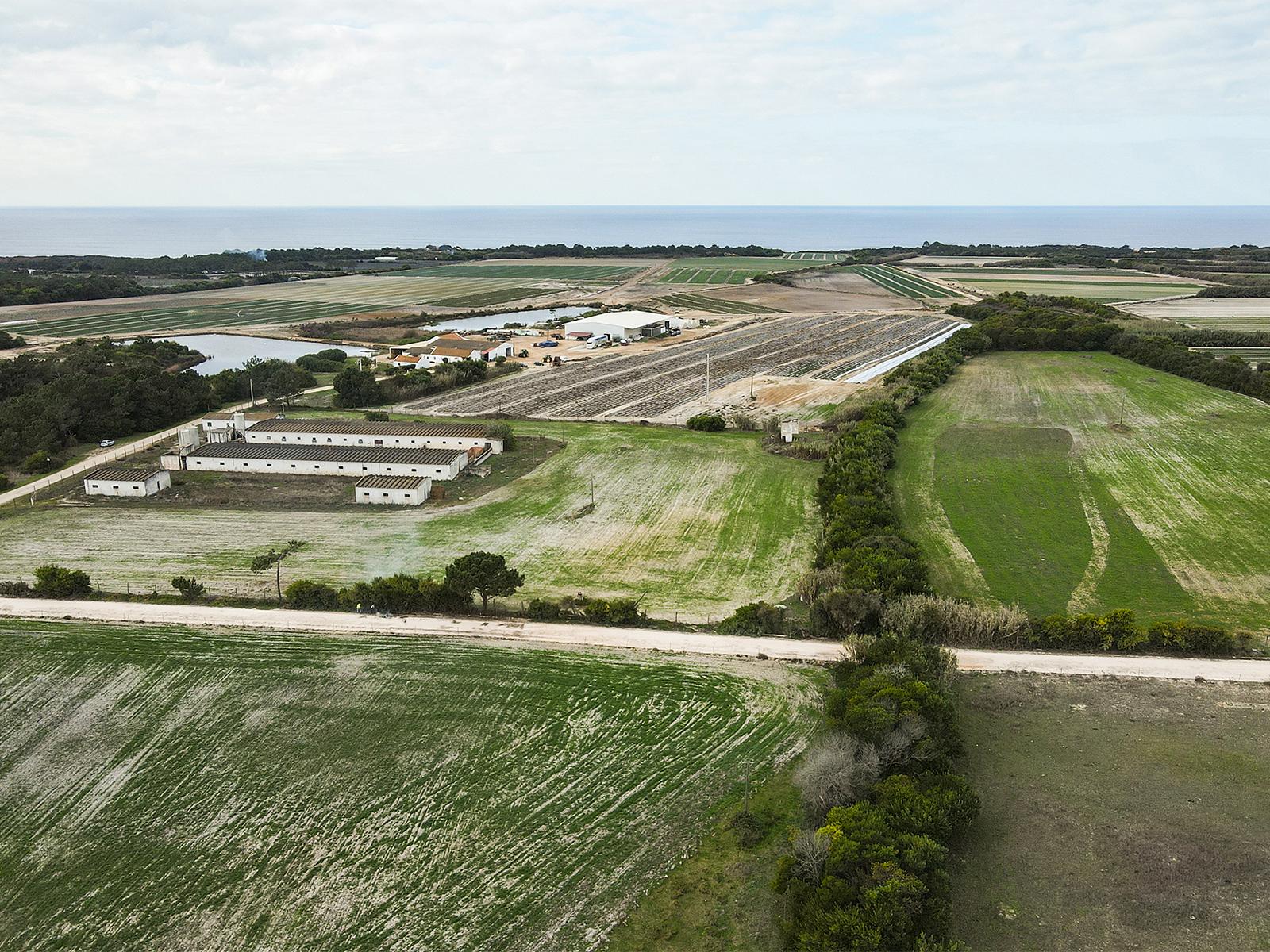 Land in Odeceixe, Aljezur — photograph 3