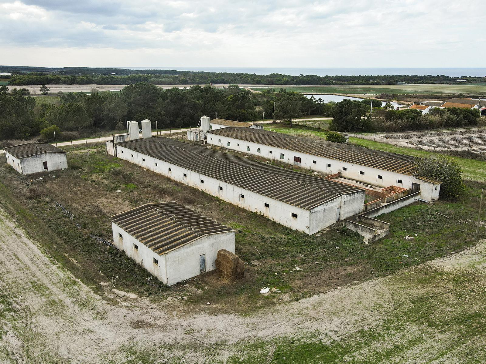Land in Odeceixe, Aljezur — photograph 4