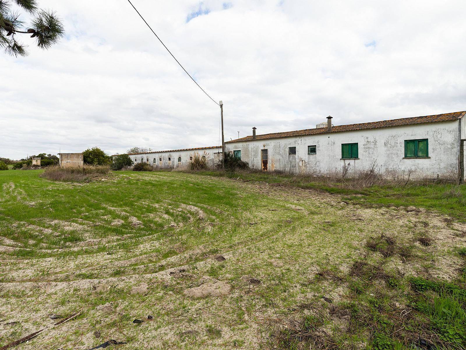 Land in Odeceixe, Aljezur — photograph 5