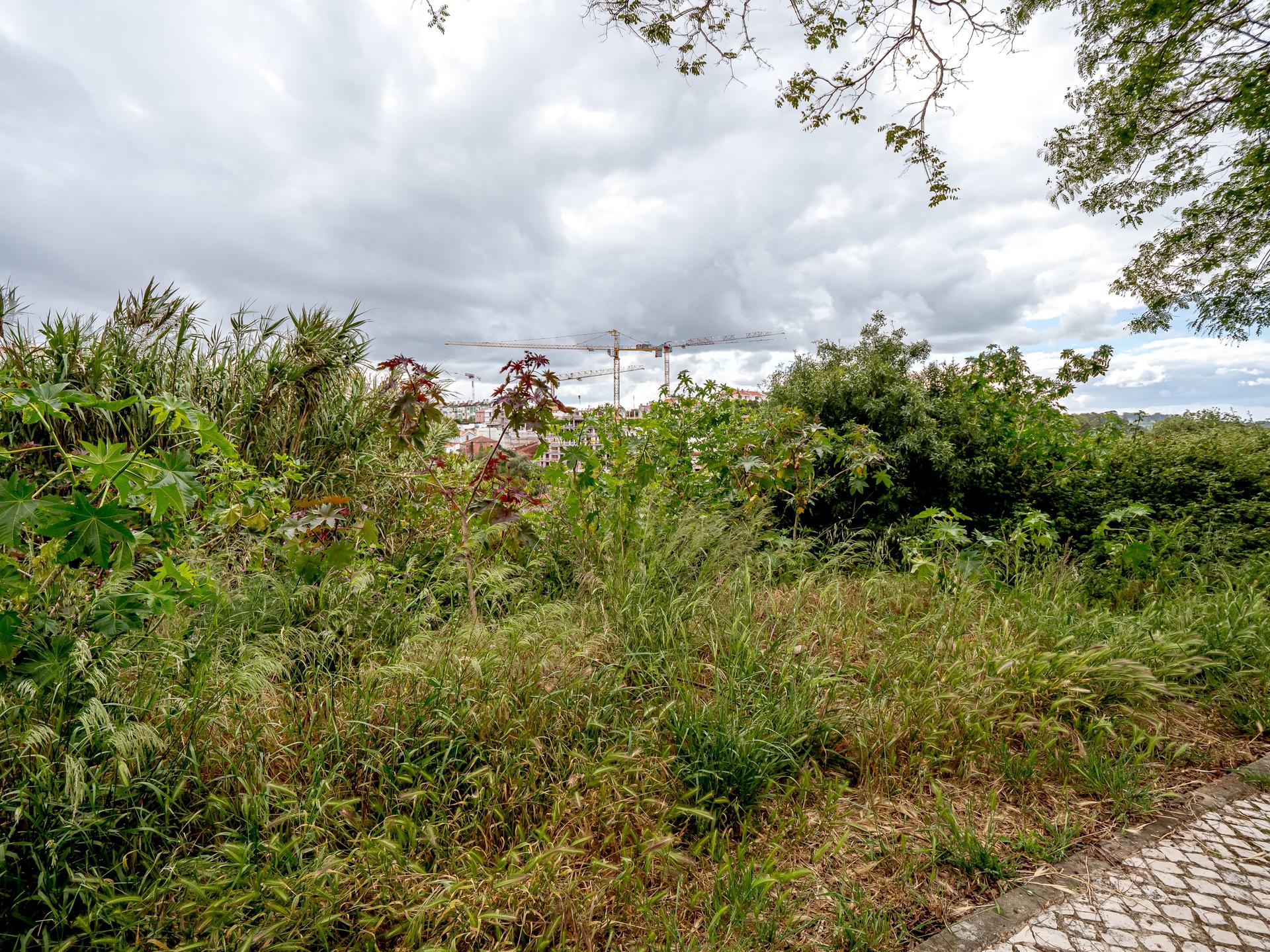 Urban Land in Oeiras — photograph 3