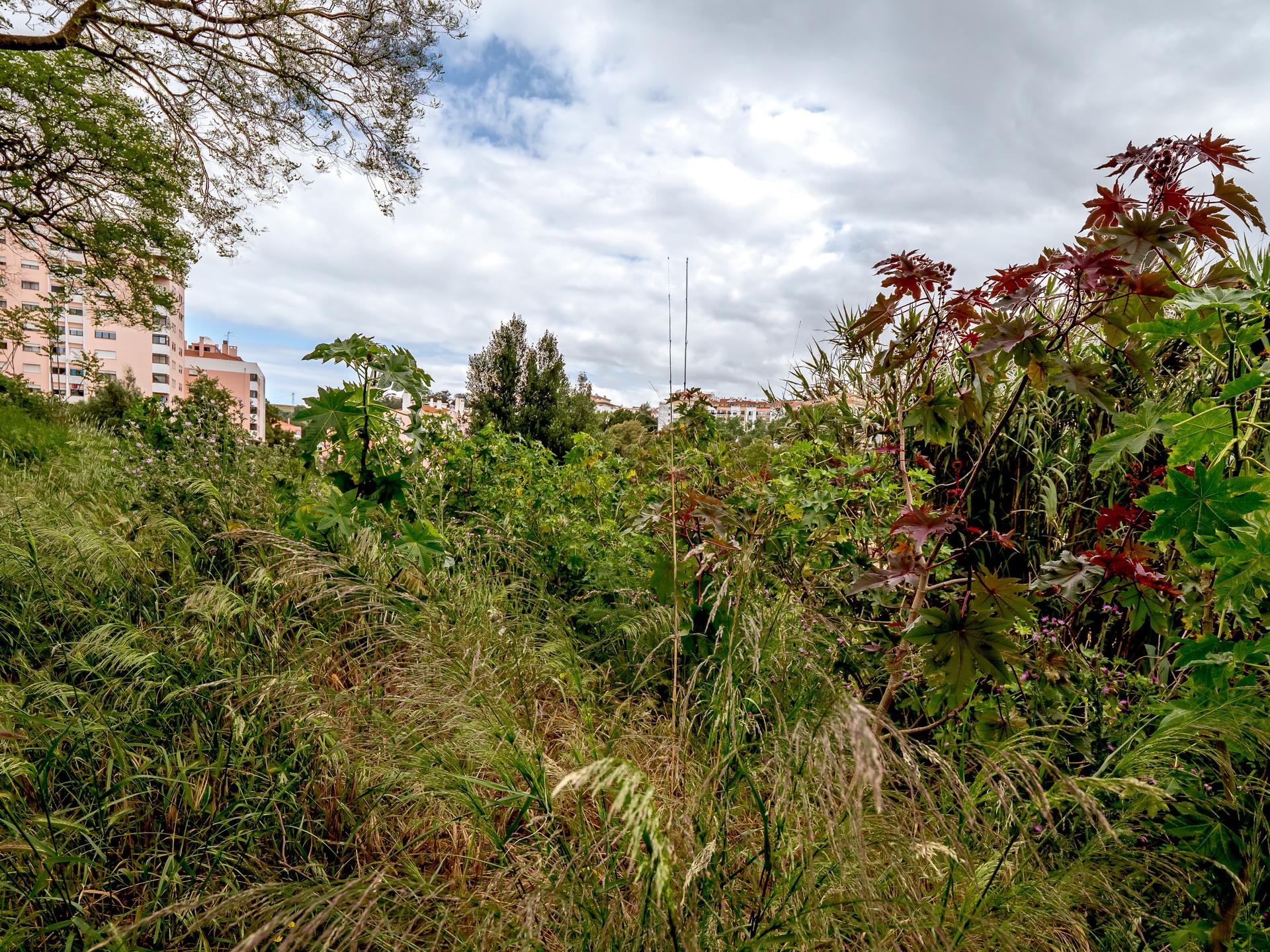 Urban Land in Oeiras — photograph 5