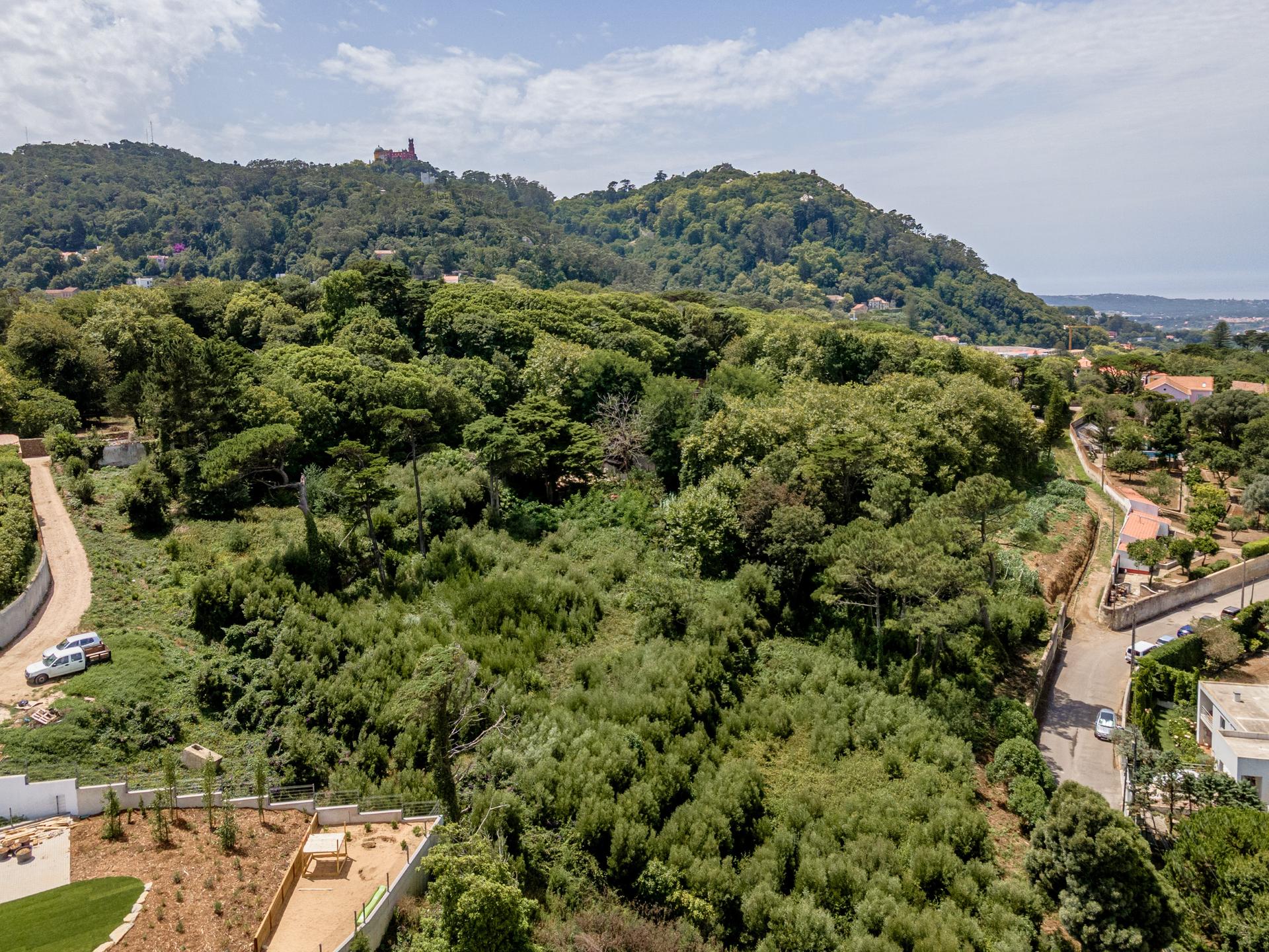 Land in Sintra — photograph 2