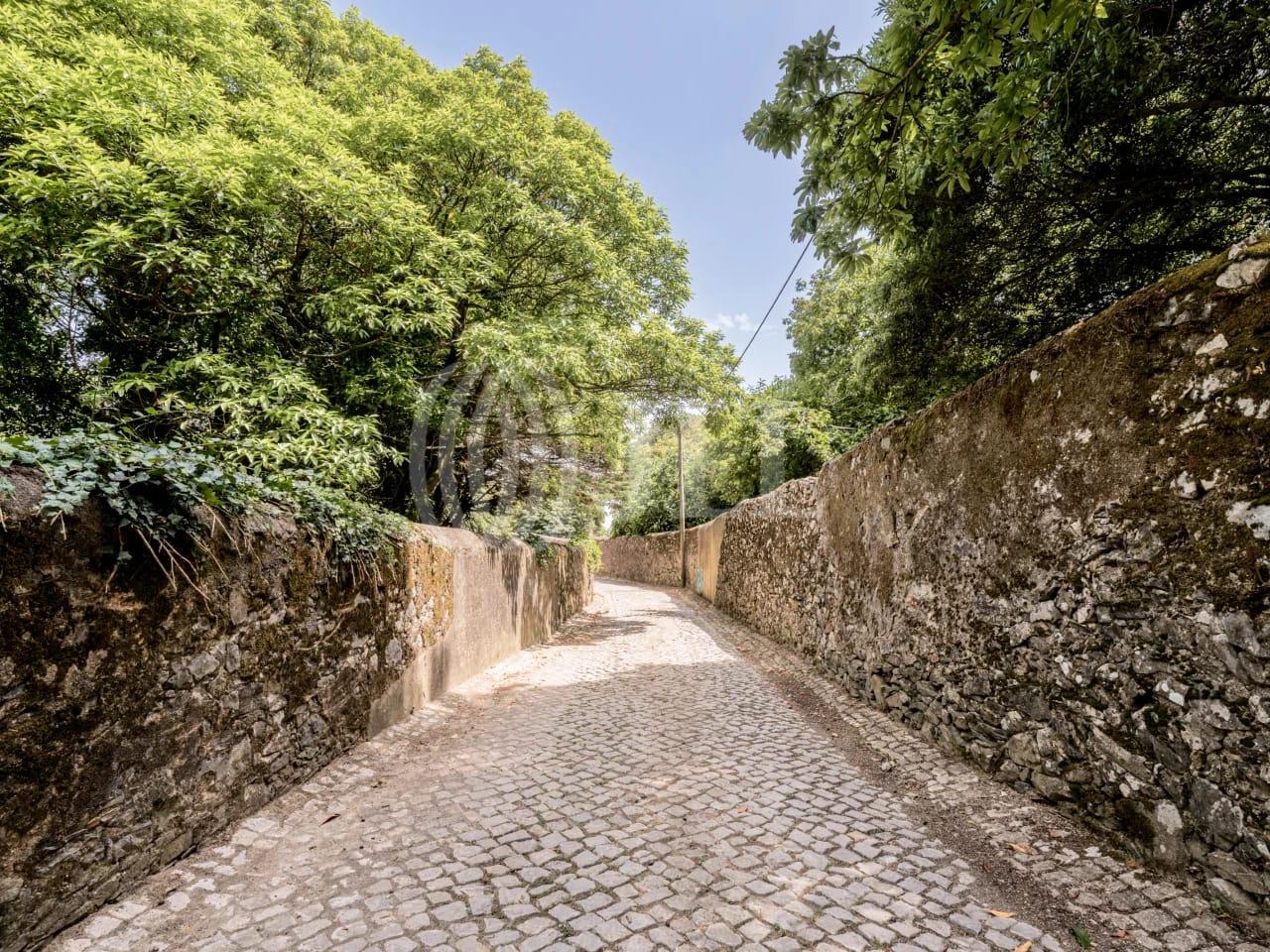 Land in Sintra — photograph 3