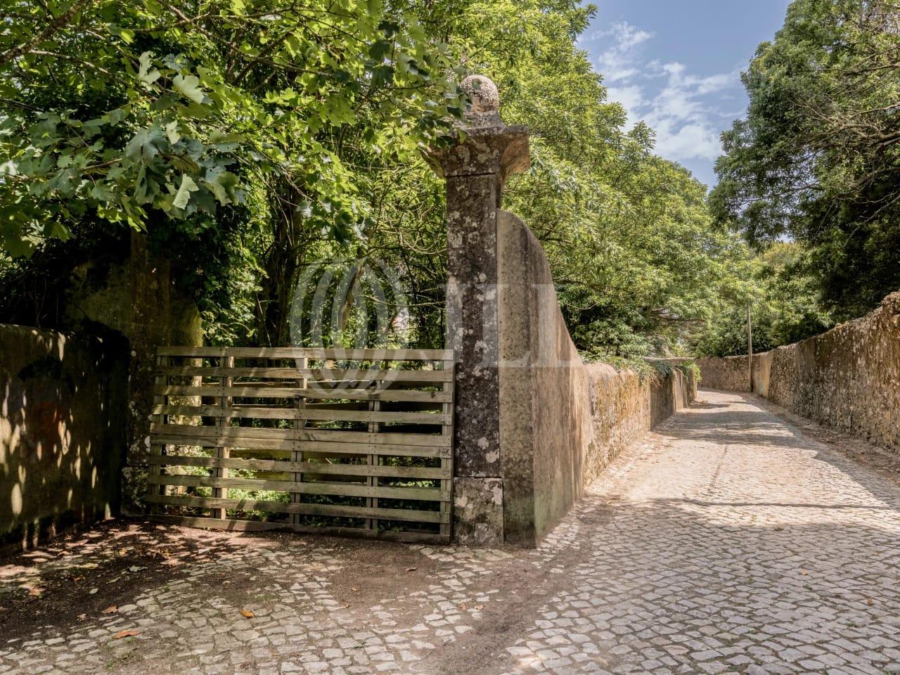 Land in Sintra — photograph 4