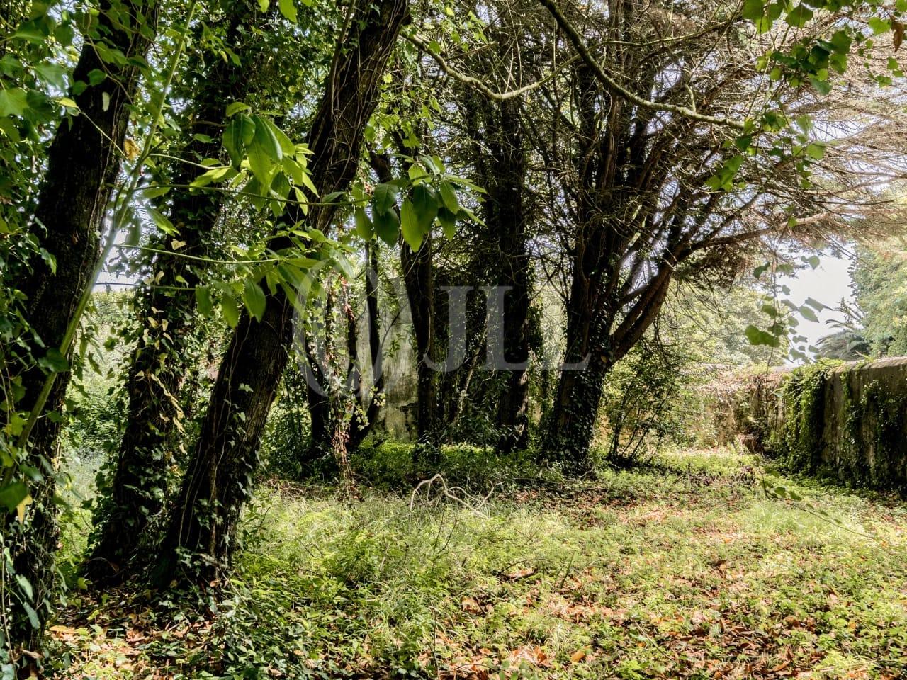 Land in Sintra — photograph 5