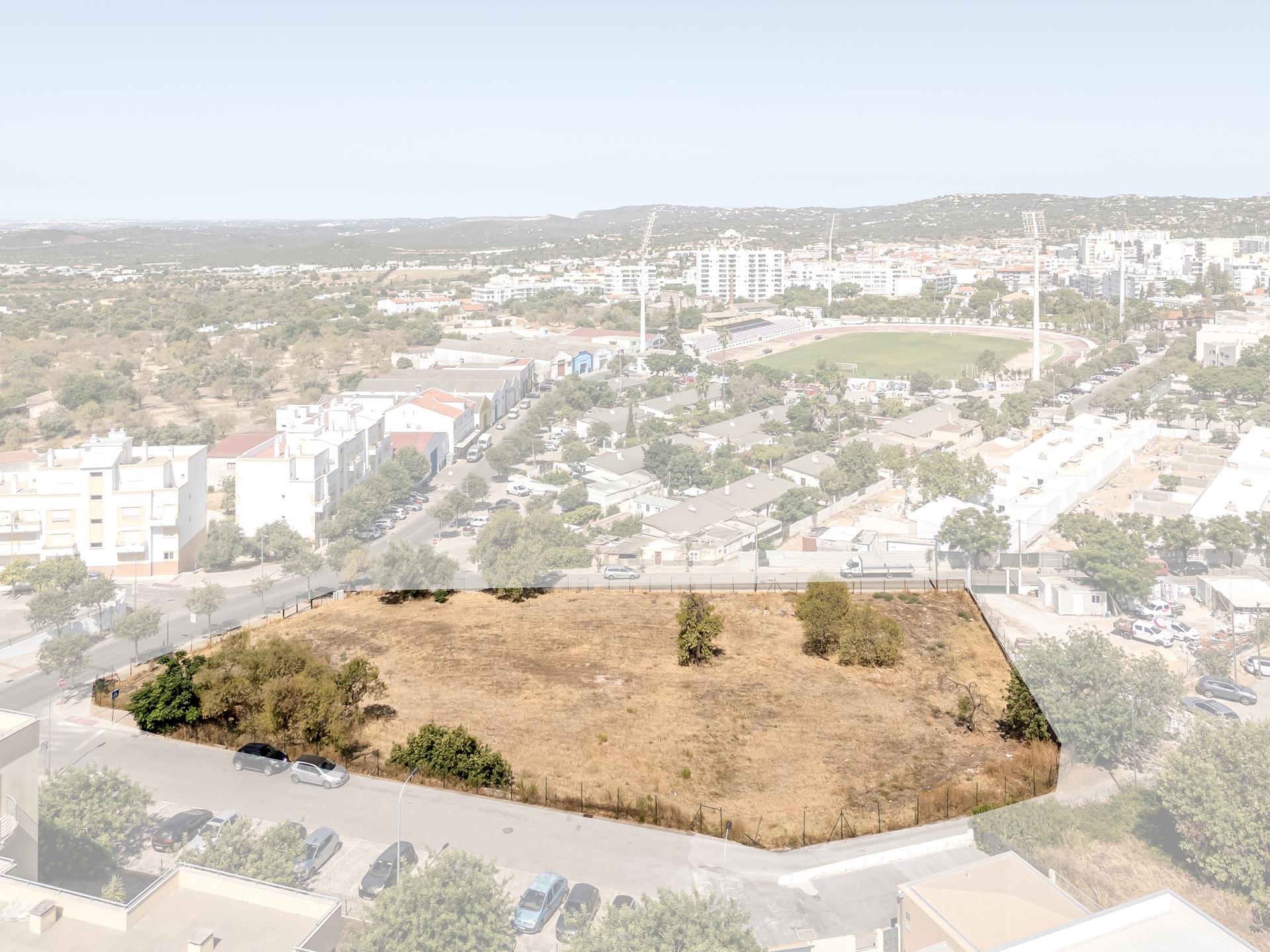 Land in Loulé — photograph 4