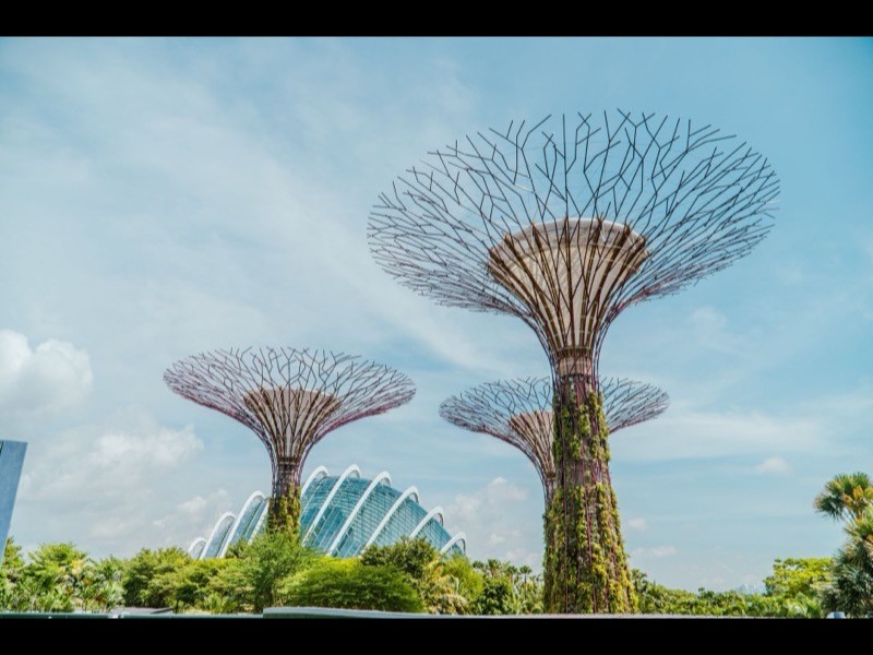 Ang Mo Kio