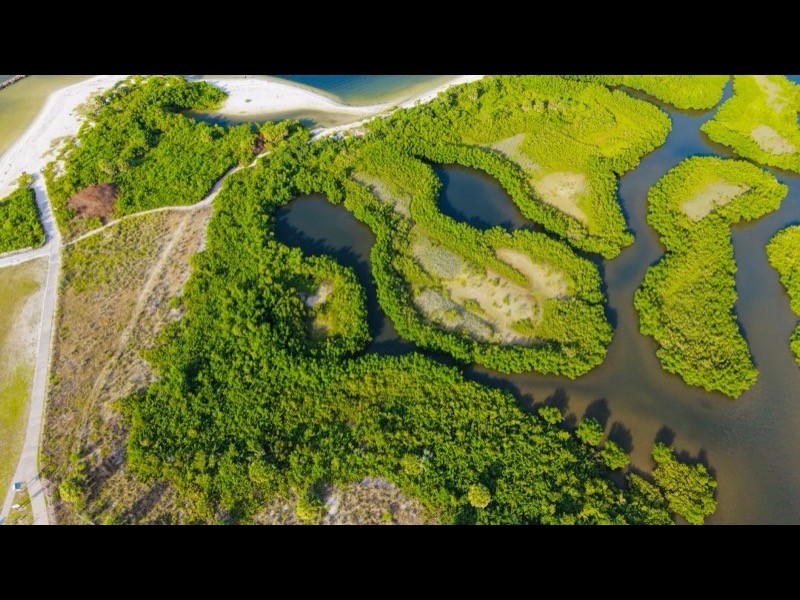 Palmer Ranch